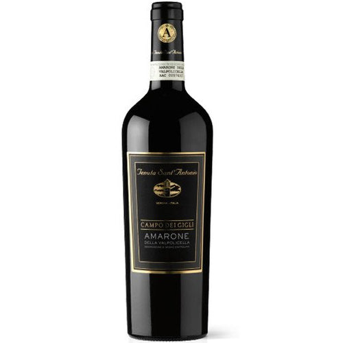 Sant Antonio Amarone Cam Dei G 2017 - 750ml