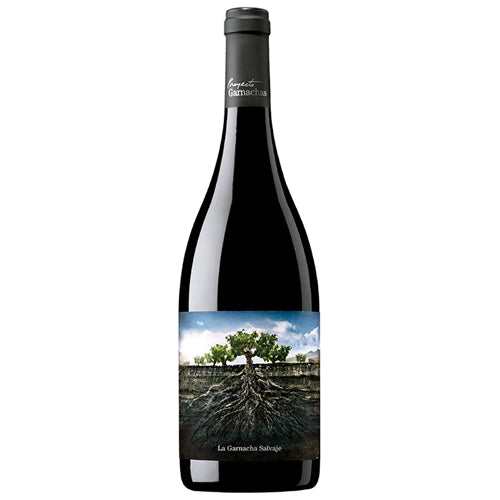 Proyecto La Garnacha Salvaje del Moncayo 2019 - 750ML